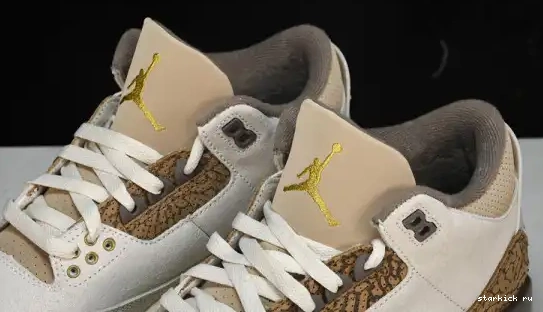 Palomino  CT8532-102  Retro Jordan 3 CT8532-102 0611